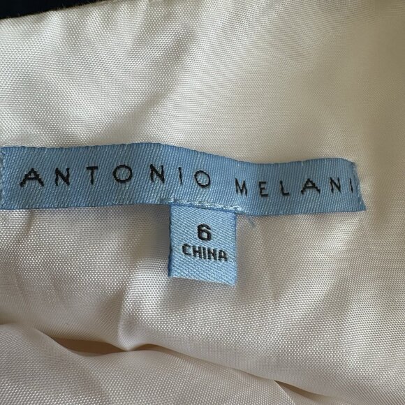 NWT Antonio Melani Yellow Eyelet Dress Women 6 Belted Sleeveless Embroidered “Ca - Picture 3 of 10